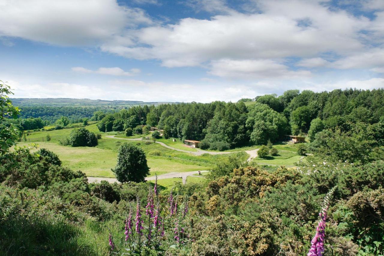 Yorkshire Dales Lodge 3 Family 3 Bed Richmond  Exteriér fotografie